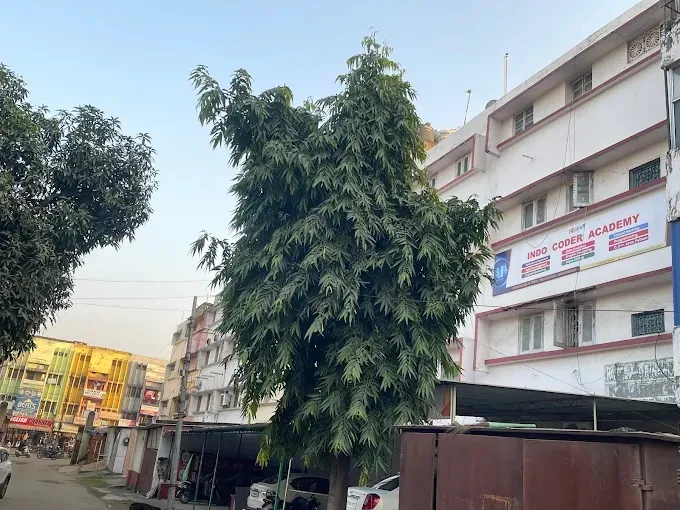 Indo Coder Academy- Best Coding and Programming Institute in Bokaro Steel City