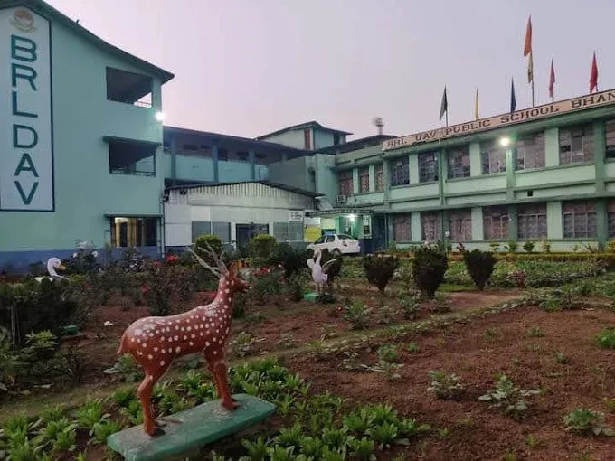 Brl Dav Public School in Bokaro