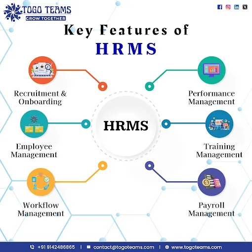 Togo Teams || Best software Development Company in Jamshedpur