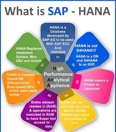 Tech Solasta in Ranchi